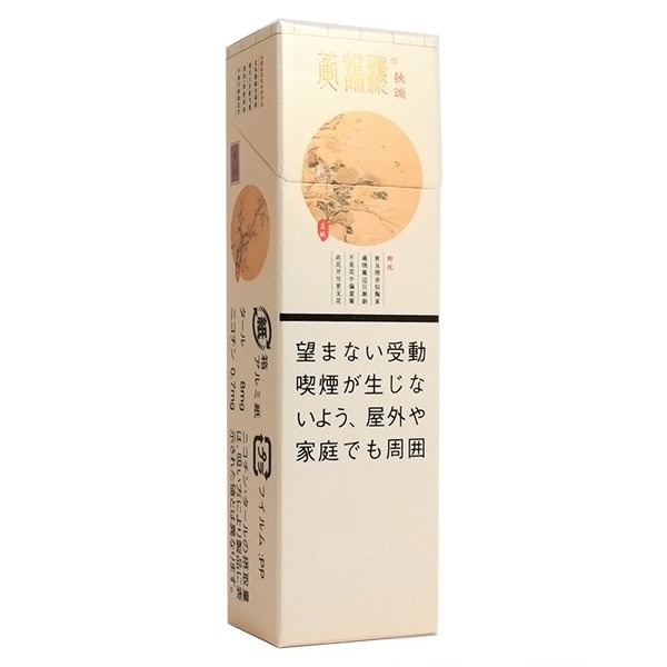 黄鹤楼四季
