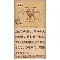棕骆驼